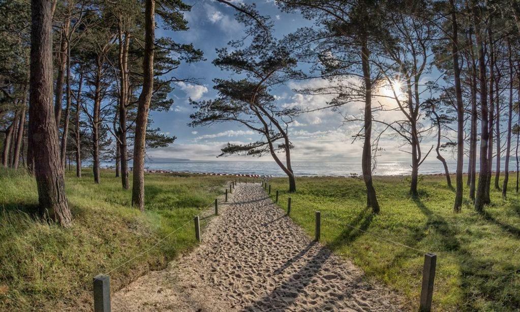 Direkt Am Strand Mit Meerblick Und Sauna - Fewo Strandidyll Остзебад Бинц Екстериор снимка